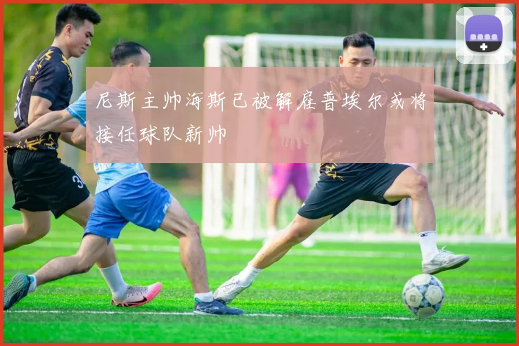 尼斯主帅海斯已被解雇普埃尔或将接任球队新帅
