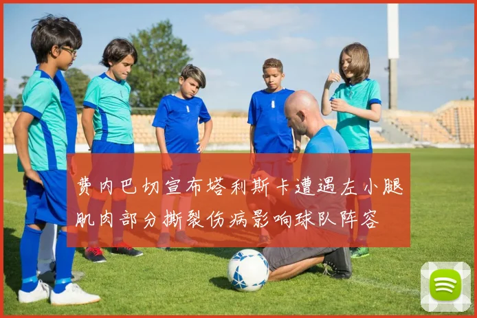 费内巴切宣布塔利斯卡遭遇左小腿肌肉部分撕裂伤病影响球队阵容