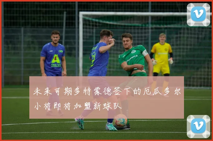 未来可期多特蒙德签下的厄瓜多尔小将即将加盟新球队