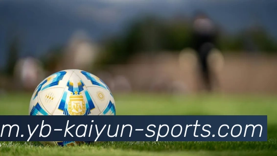 开云体育服务体系